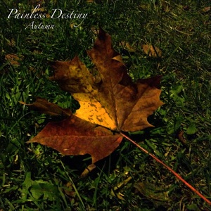 男人添女人阴帝全视频
